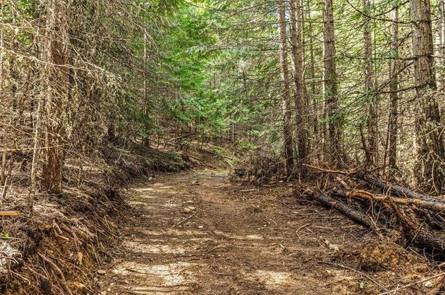 4851 Coyote Trl, Newport, WA 99156