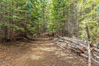 4851 Coyote Trl, Newport, WA 99156