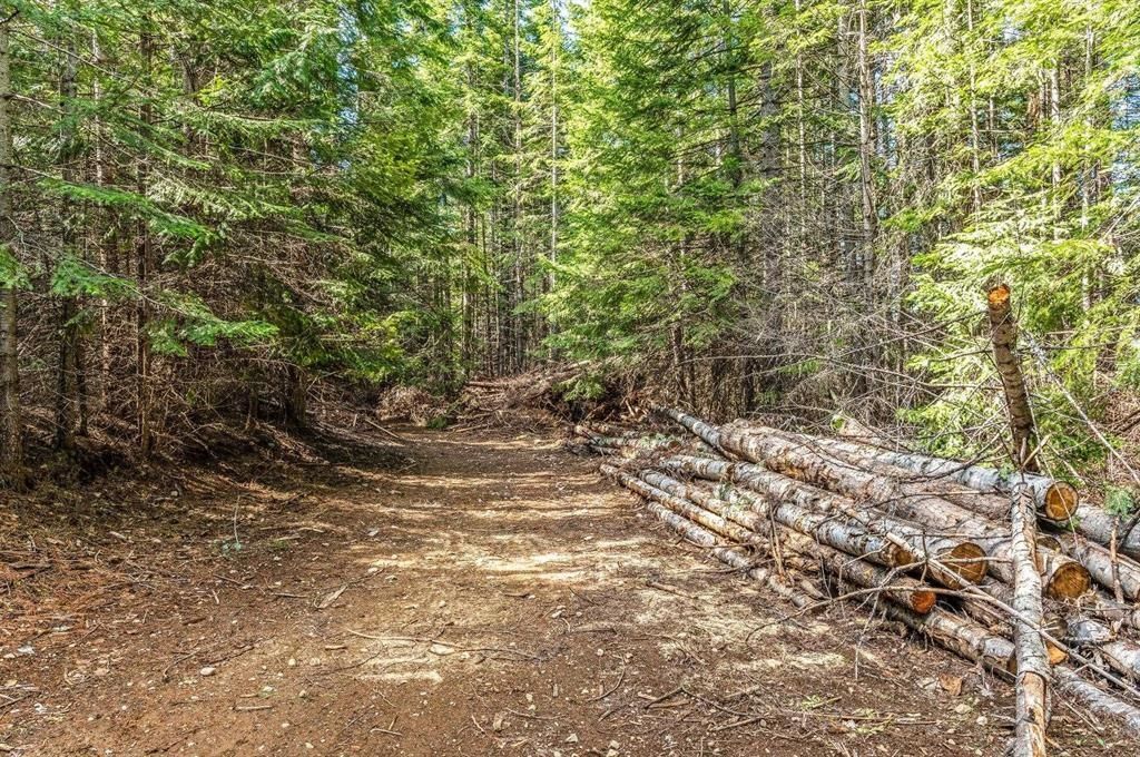 4851 Coyote Trl, Newport, WA 99156