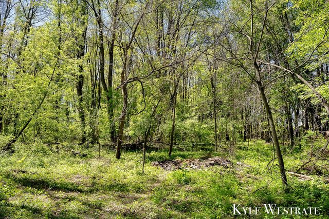 11127 8th Avenue, Tallmadge Twp, MI 49534