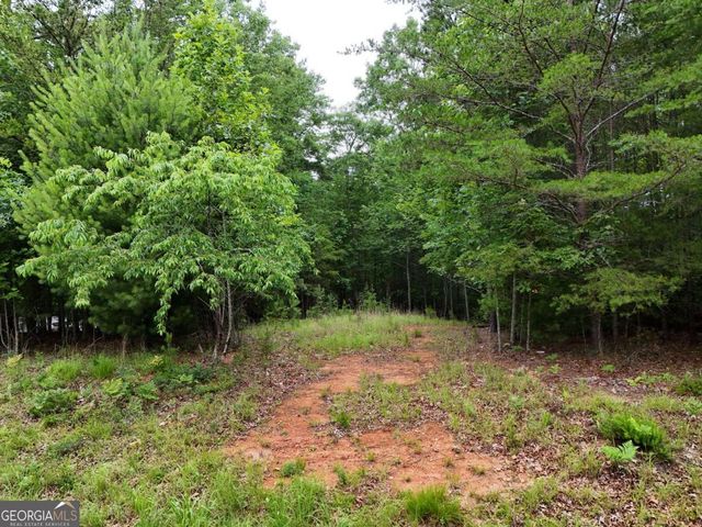LOT 3 Cook Henry Road, Blairsville, GA 30512