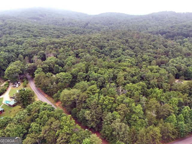 LOT 3 Cook Henry Road, Blairsville, GA 30512