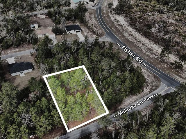 MALAUKA LANE PASS, Ocklawaha, FL 32179