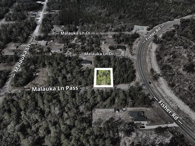 MALAUKA LANE PASS, Ocklawaha, FL 32179