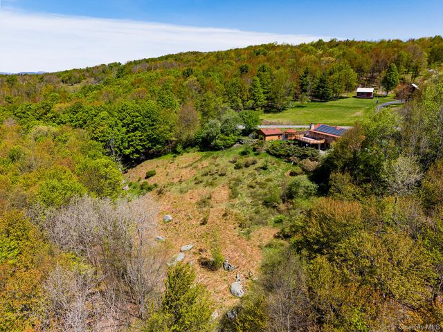 203 Skyline Drive, Woodbourne, NY 12788