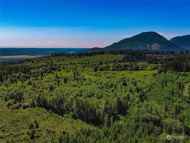 2660 Wildwood Drive, Quilcene, WA 98376