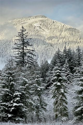 2660 Wildwood Drive, Quilcene, WA 98376