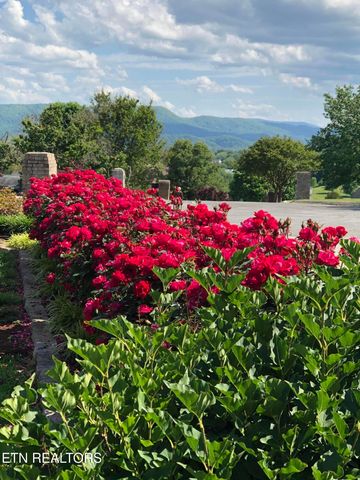 101 Ostenbarker St, Maryville, TN 37804