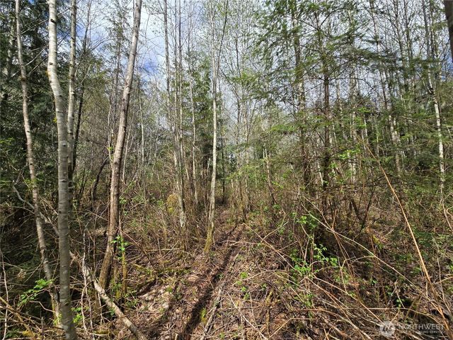 30 xxx NE Big Rock Road, Duvall, WA 98019