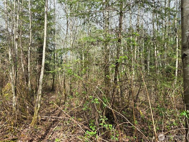 30 xxx NE Big Rock Road, Duvall, WA 98019