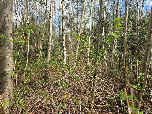 30 xxx NE Big Rock Road, Duvall, WA 98019