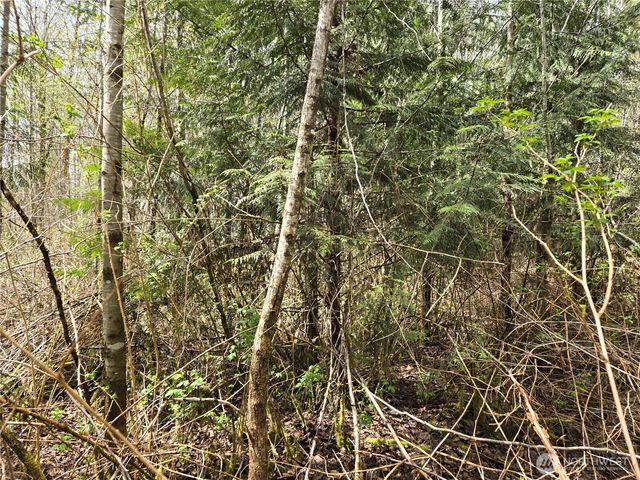 30 xxx NE Big Rock Road, Duvall, WA 98019