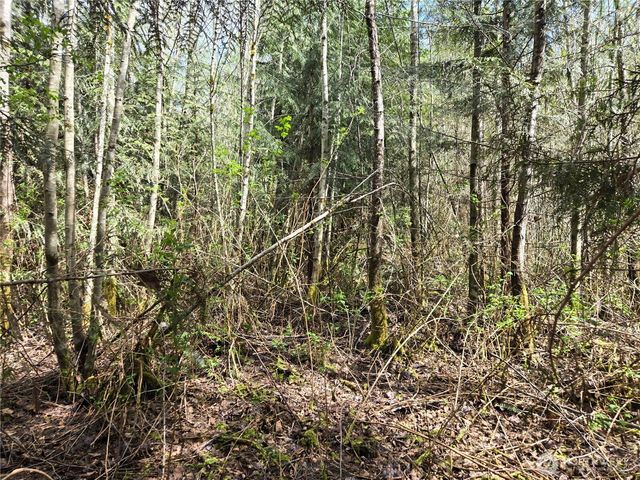 30 xxx NE Big Rock Road, Duvall, WA 98019