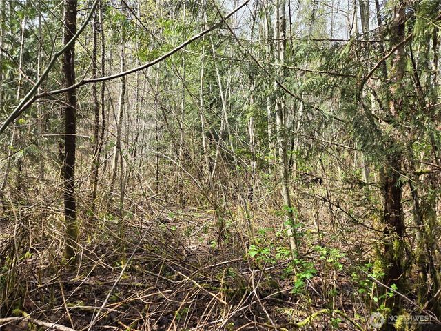 30 xxx NE Big Rock Road, Duvall, WA 98019