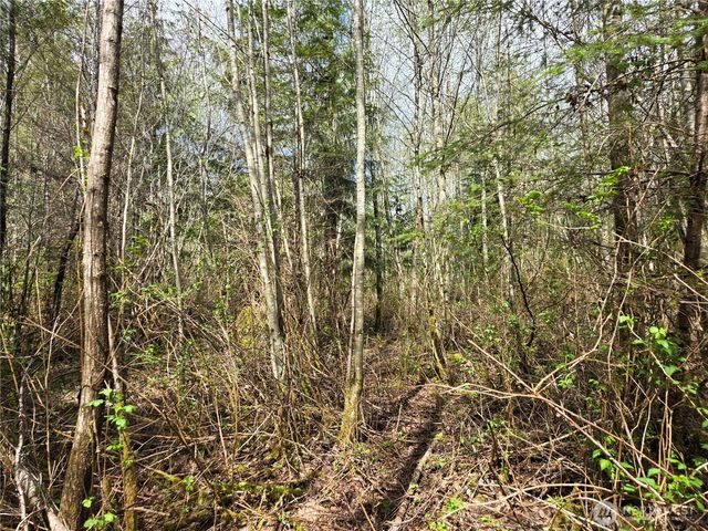 30 xxx NE Big Rock Road, Duvall, WA 98019