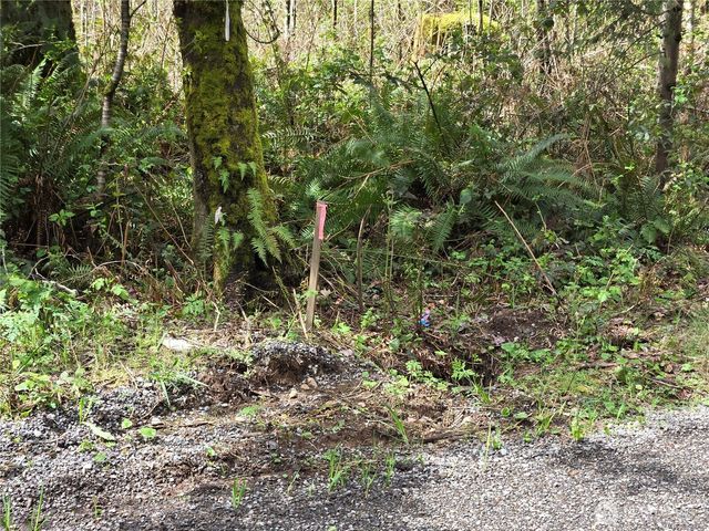 30 xxx NE Big Rock Road, Duvall, WA 98019