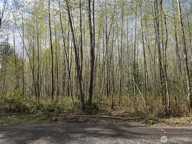 30 xxx NE Big Rock Road, Duvall, WA 98019