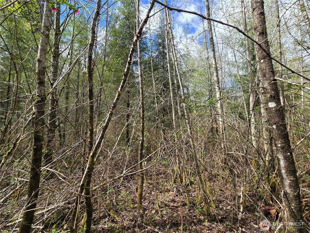 30 xxx NE Big Rock Road, Duvall, WA 98019
