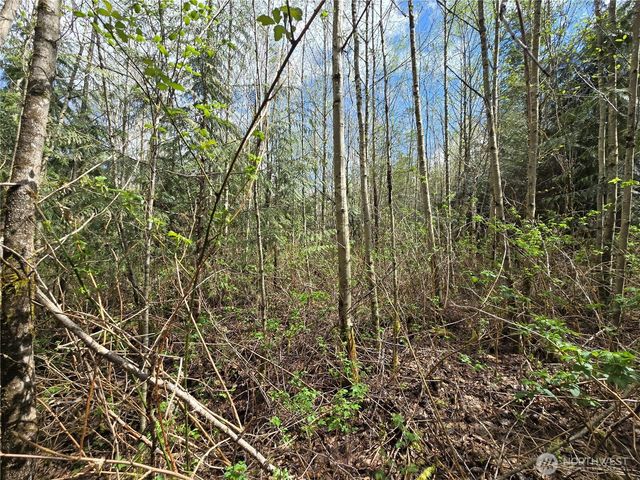 30 xxx NE Big Rock Road, Duvall, WA 98019