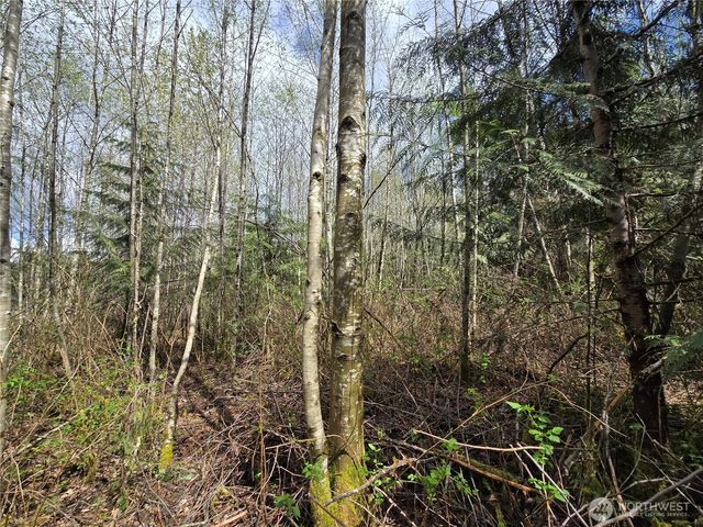 30 xxx NE Big Rock Road, Duvall, WA 98019