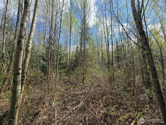 30 xxx NE Big Rock Road, Duvall, WA 98019