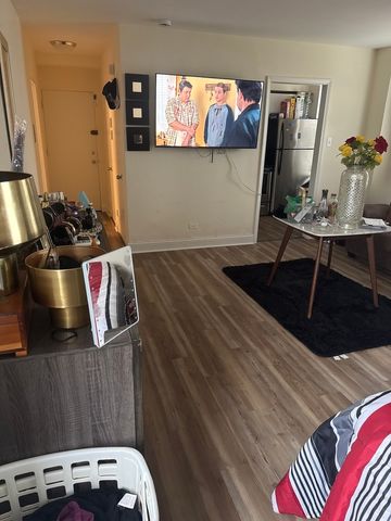 7363 S South Shore Drive 209, Chicago, IL 60649