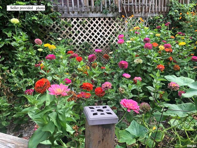 61 W TIMBERLINE Drive, Blue Grass, IA 52726