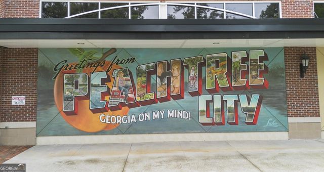 1235 Hayes Square, Peachtree City, GA 30269
