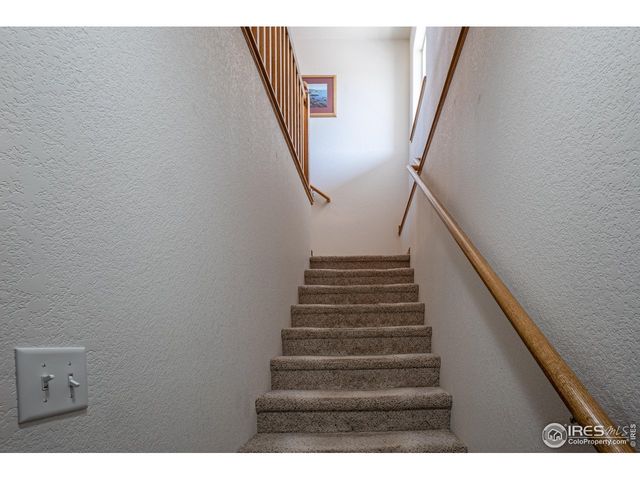 631 Linecamp Dr, Livermore, CO 80536