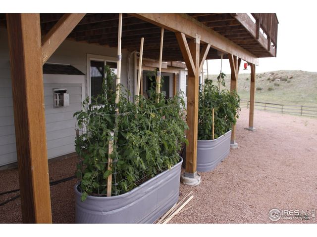 631 Linecamp Dr, Livermore, CO 80536