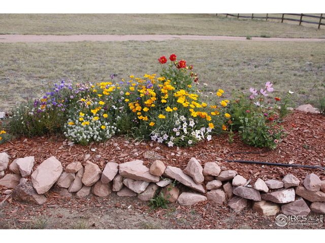 631 Linecamp Dr, Livermore, CO 80536