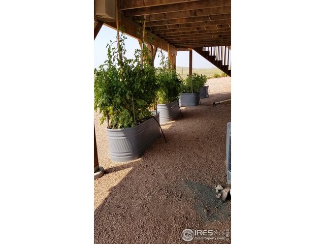 631 Linecamp Dr, Livermore, CO 80536