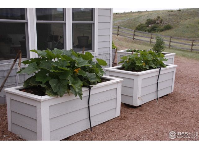 631 Linecamp Dr, Livermore, CO 80536