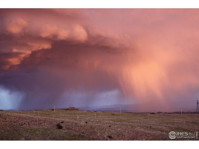 631 Linecamp Dr, Livermore, CO 80536