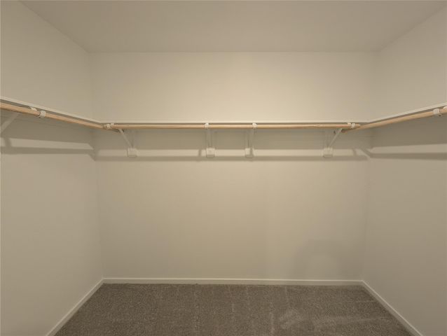 18061 Trepito Avenue, New Caney, TX 77357