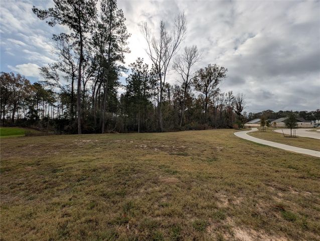 18061 Trepito Avenue, New Caney, TX 77357