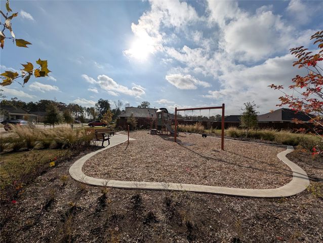 18061 Trepito Avenue, New Caney, TX 77357