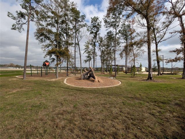 18061 Trepito Avenue, New Caney, TX 77357