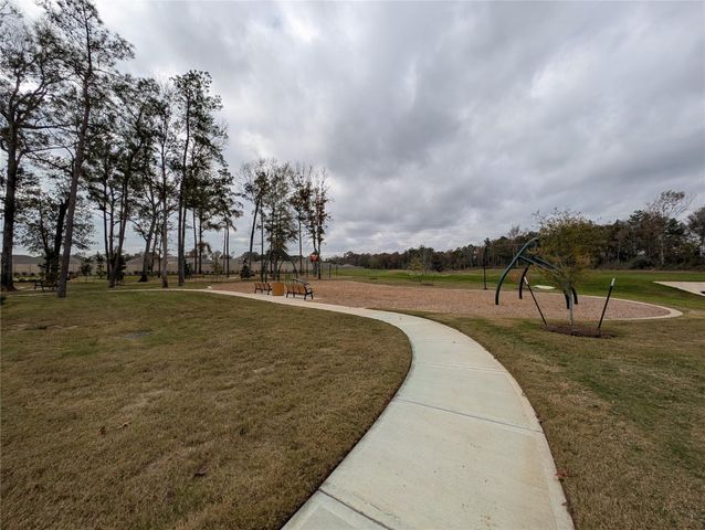 18061 Trepito Avenue, New Caney, TX 77357