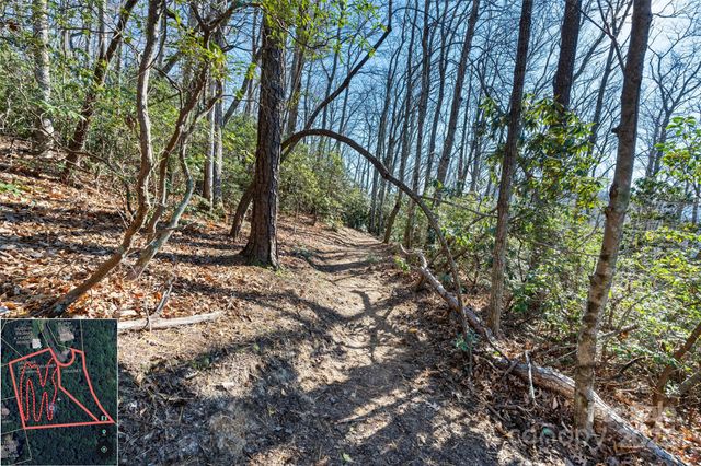 9999 North Fork Road 5 & 6, Black Mountain, NC 28711