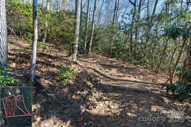 9999 North Fork Road 5 & 6, Black Mountain, NC 28711