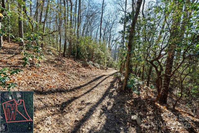 9999 North Fork Road 5 & 6, Black Mountain, NC 28711