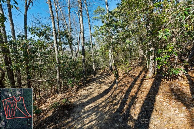 9999 North Fork Road 5 & 6, Black Mountain, NC 28711