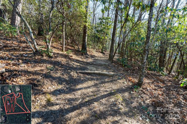 9999 North Fork Road 5 & 6, Black Mountain, NC 28711