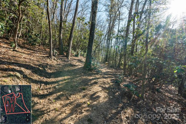 9999 North Fork Road 5 & 6, Black Mountain, NC 28711