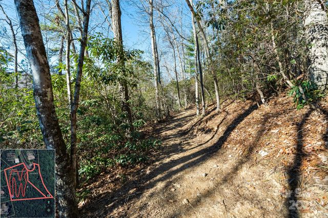 9999 North Fork Road 5 & 6, Black Mountain, NC 28711