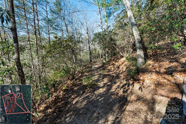 9999 North Fork Road 5 & 6, Black Mountain, NC 28711