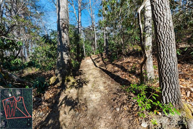 9999 North Fork Road 5 & 6, Black Mountain, NC 28711