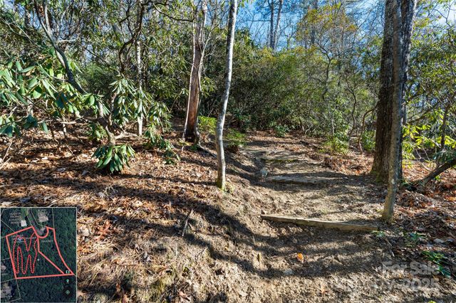 9999 North Fork Road 5 & 6, Black Mountain, NC 28711