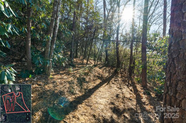 9999 North Fork Road 5 & 6, Black Mountain, NC 28711